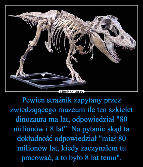 
    Pewien strażnik zapytany przez zwiedzającego muzeum ile ten szkielet dinozaura ma lat, odpowiedział "80 milionów i 8 lat". Na pytanie skąd ta dokładność odpowiedział "miał 80 milionów lat, kiedy zaczynałem tu pracować, a to było 8 lat temu".