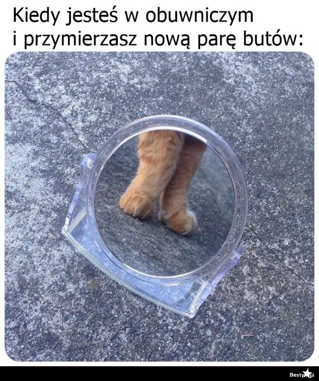 
    Prezentują się całkiem nieźle 