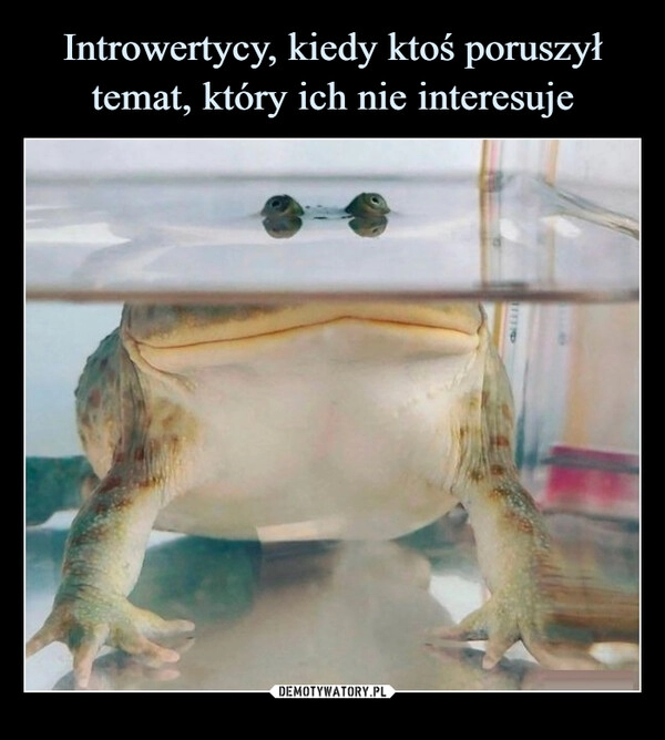 
    Introwertycy, kiedy ktoś poruszył temat, który ich nie interesuje