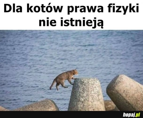 
    Fizyka