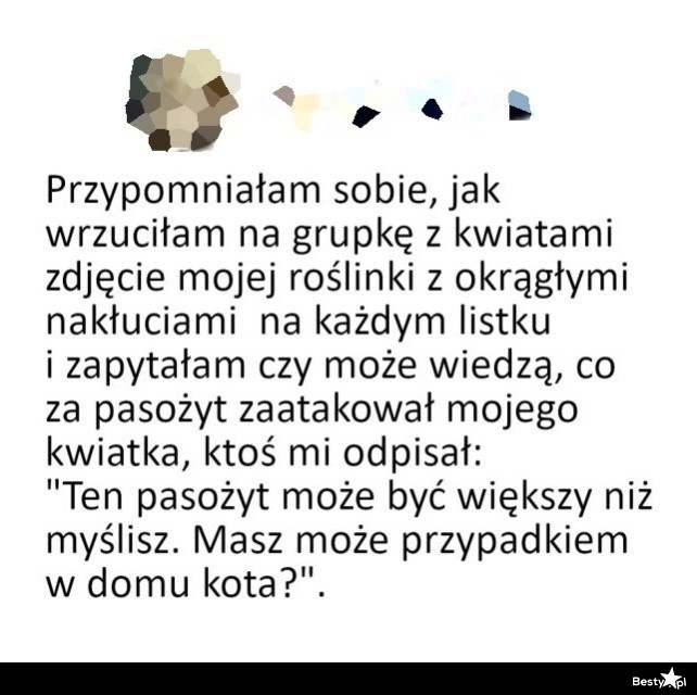 
    Dziwny pasożyt w domu 