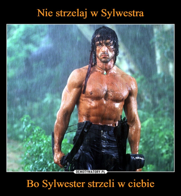 
    
Nie strzelaj w Sylwestra Bo Sylwester strzeli w ciebie 