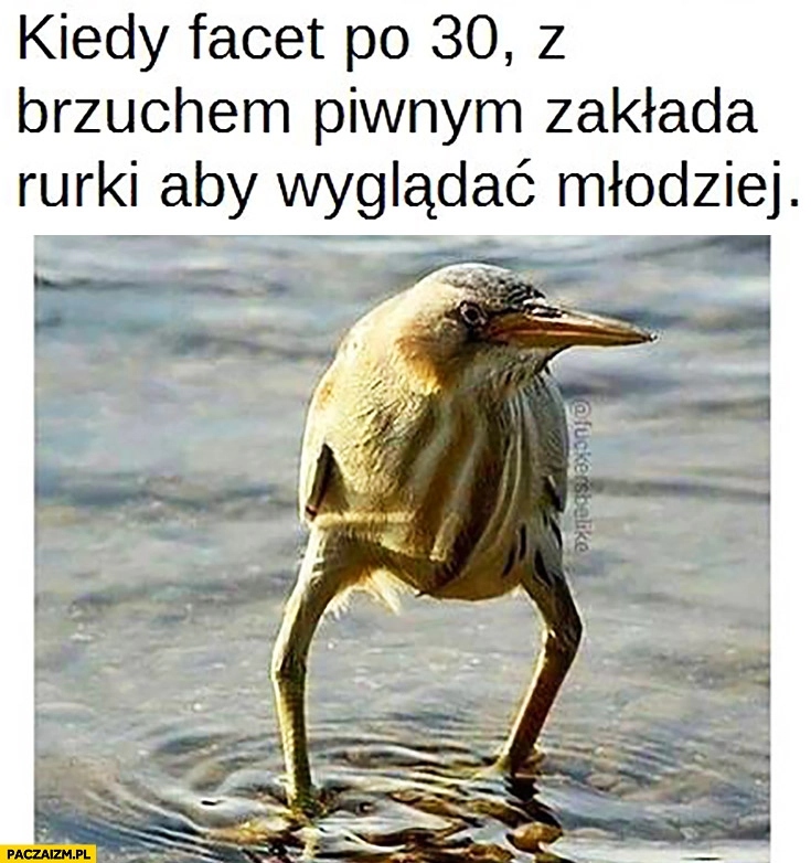 
    Kiedy facet po 30 z brzuchem piwnym zakłada rurki żeby wyglądać młodziej ptak