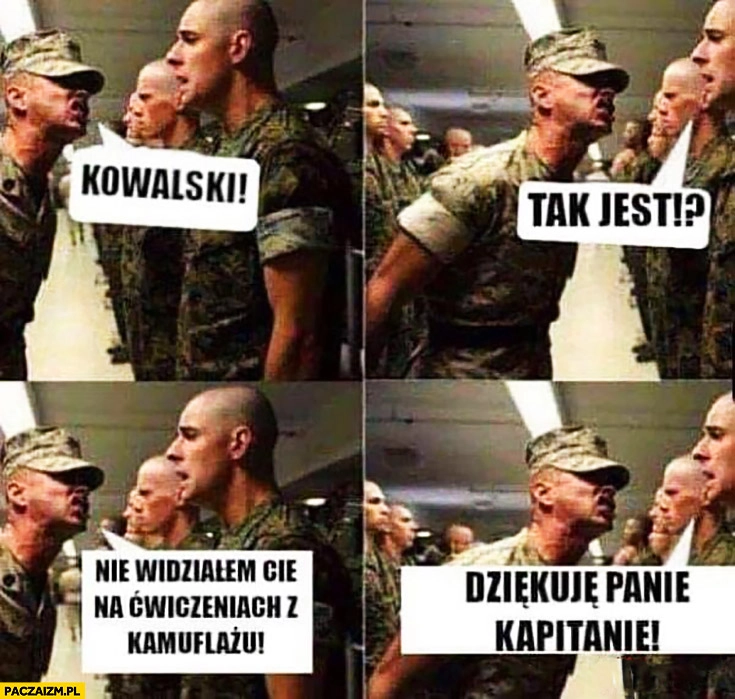 
    Żołnierz w wojsku Kowalski nie widziałem Cię na ćwiczeniach z kamuflażu, dziękuję panie kapitanie