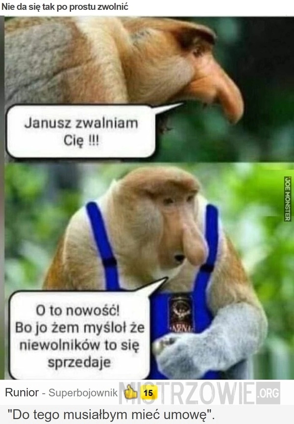 
    
			Nie da się tak po prostu zwolnić					