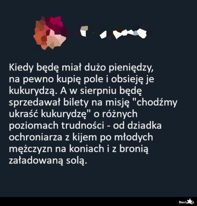 
    Pole kukurydzy 