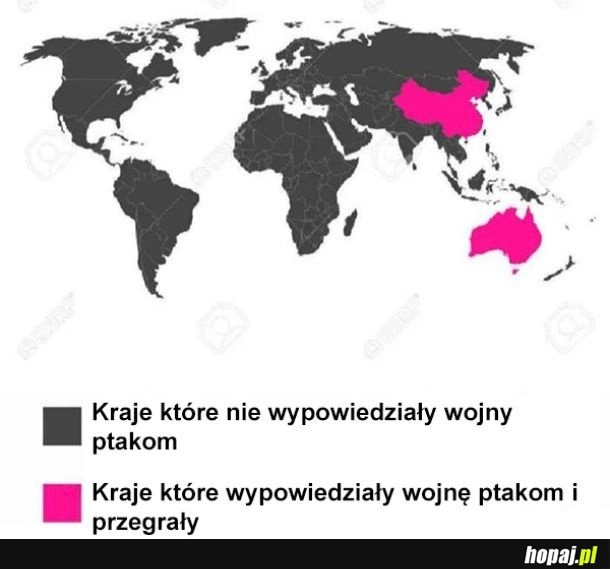 
    Wojna z ptakami