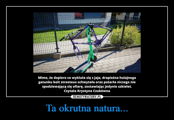 
    Ta okrutna natura...