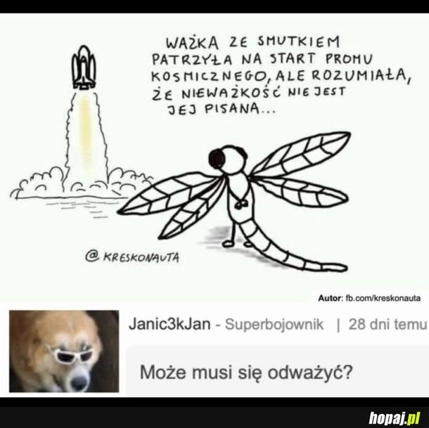 
    Smutna ważka
