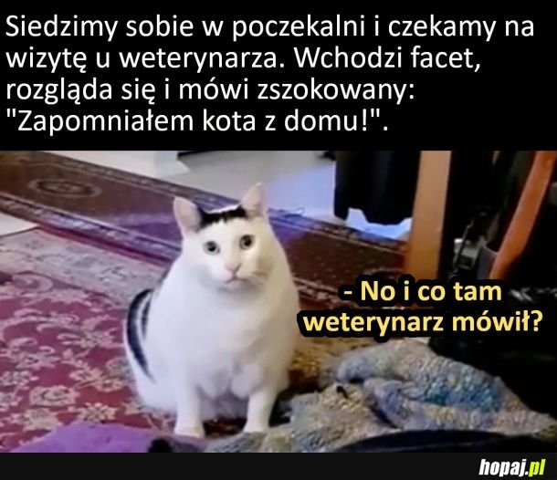 
    No i co tam weterynarz mówił?