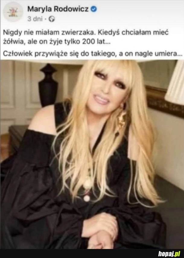 
    Pozostaje gąbka Scolymastra joubini