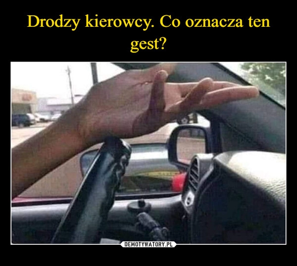 
    
Drodzy kierowcy. Co oznacza ten gest? 