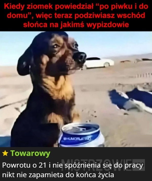 
    Piwko