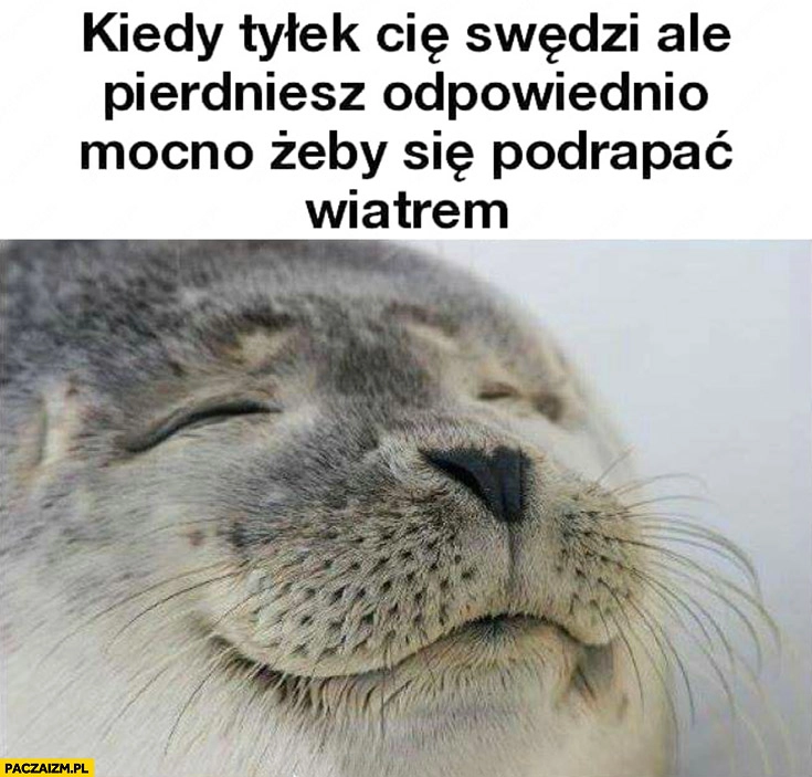 
    Kiedy tyłek Cię swędzi ale pierdniesz odpowiednio mocno żeby się podrapać wiatrem