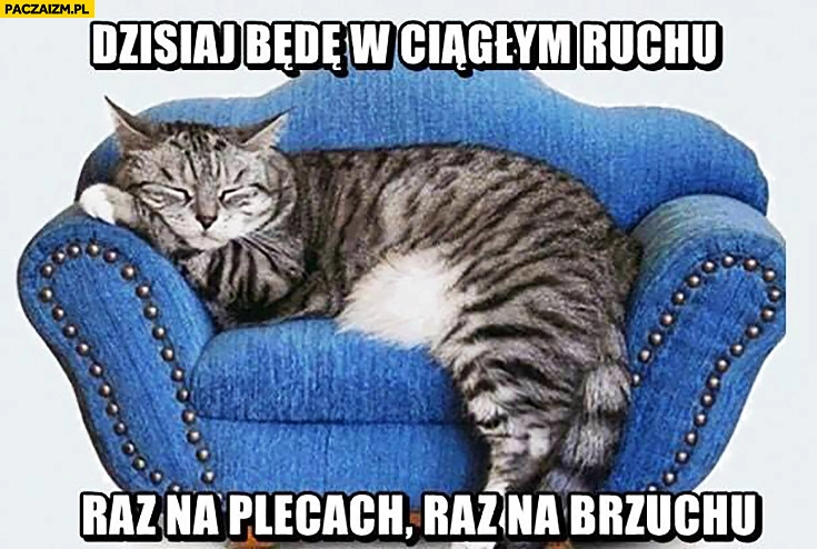 
    Dzisiaj będę w ciągłym ruchu raz na plecach raz na brzuchu śpiący kot