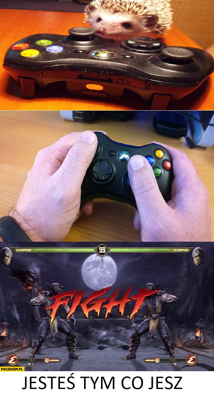 
    Jesteś tym co jesz Mortal Kombat gra jeż scorpion