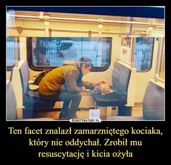 
    Ten facet znalazł zamarzniętego kociaka, który nie oddychał. Zrobił mu resuscytację i kicia ożyła