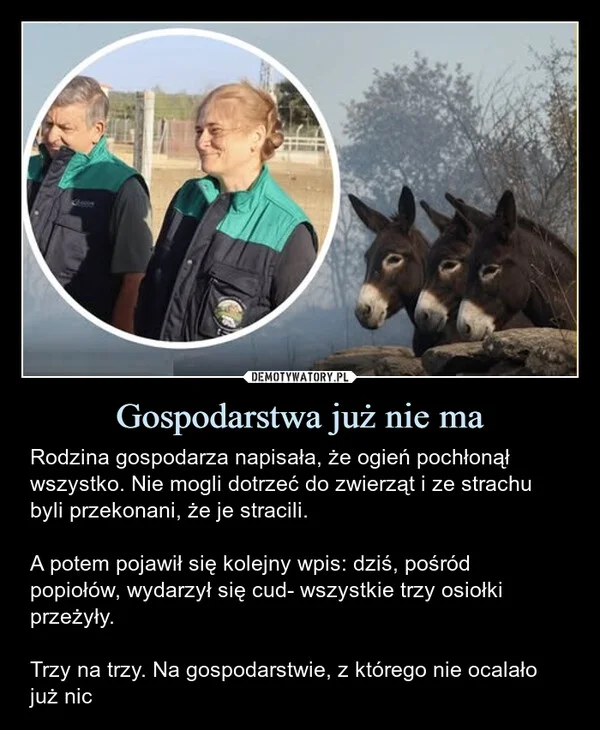 
    Gospodarstwa już nie ma