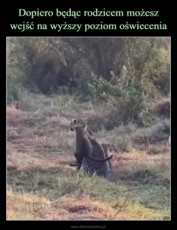 
    Dopiero będąc rodzicem możesz wejść na wyższy poziom oświecenia