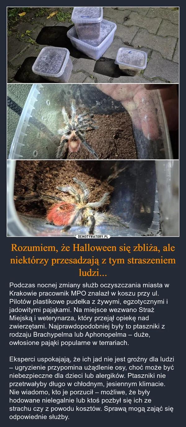 
    Rozumiem, że Halloween się zbliża, ale niektórzy przesadzają z tym straszeniem ludzi...