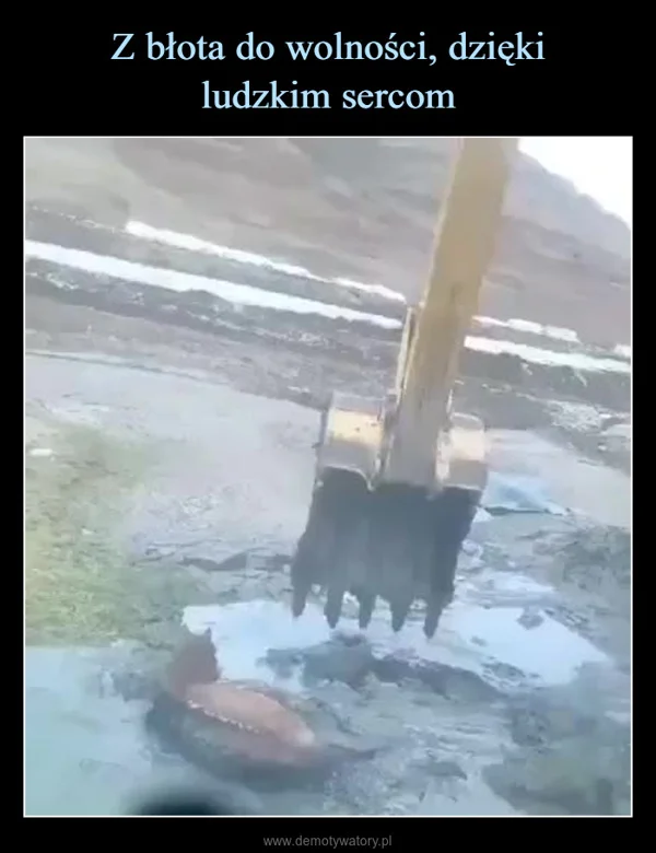 
    Z błota do wolności, dzięki ludzkim sercom