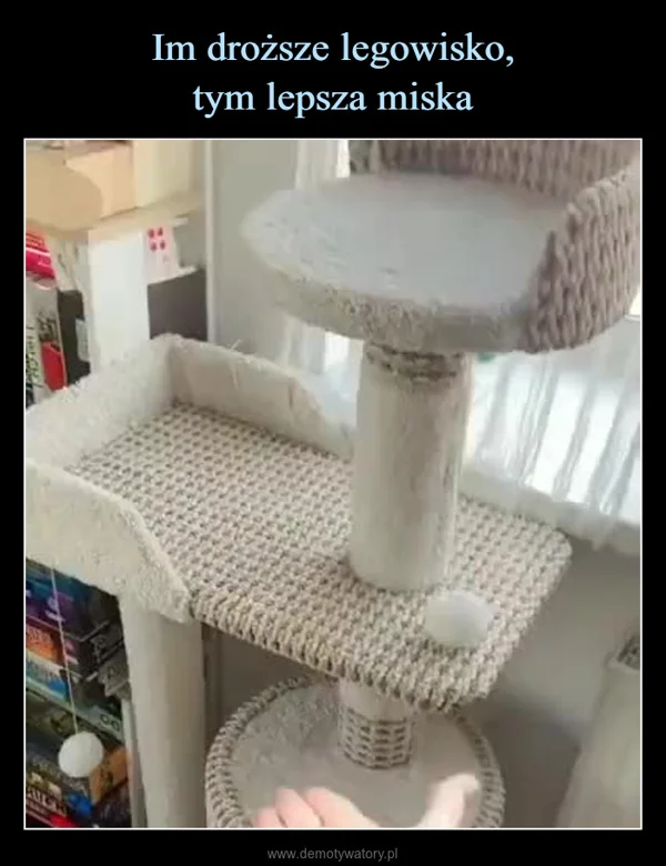 
    Im droższe legowisko, tym lepsza miska