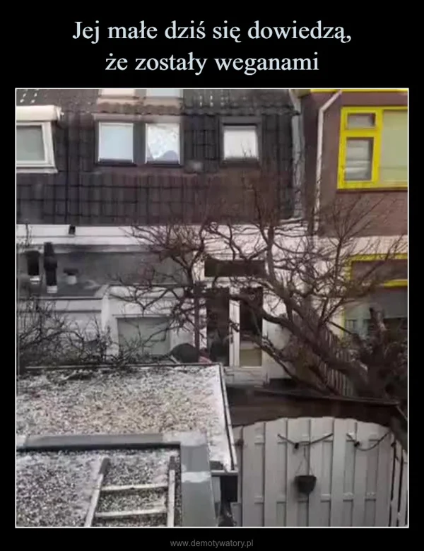 
    Jej małe dziś się dowiedzą, że zostały weganami