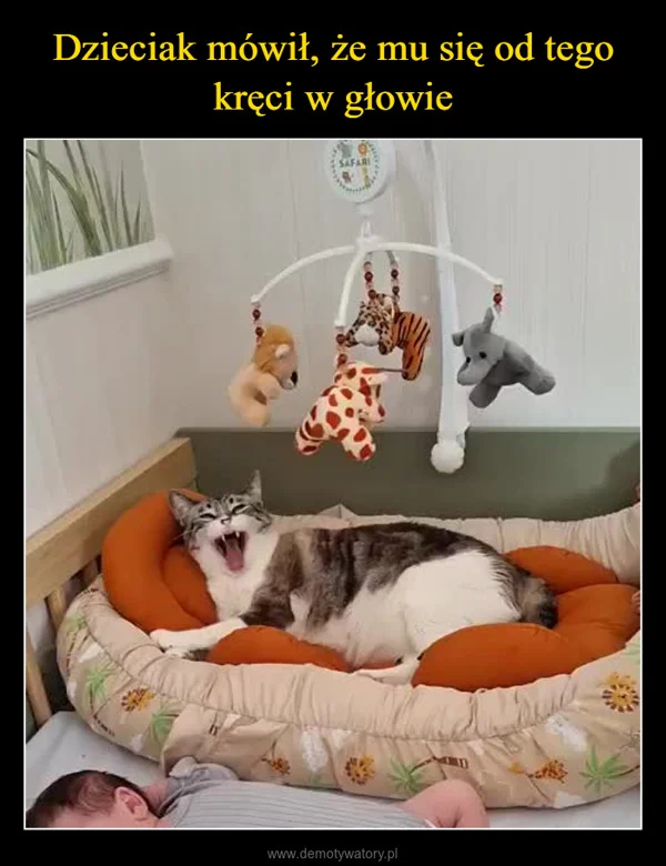 
    Dzieciak mówił, że mu się od tego kręci w głowie