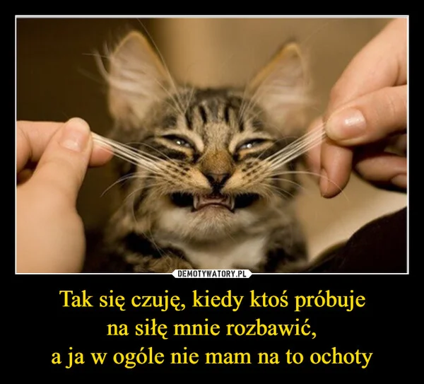 
    Tak się czuję, kiedy ktoś próbuje na siłę mnie rozbawić, a ja w ogóle nie mam na to ochoty