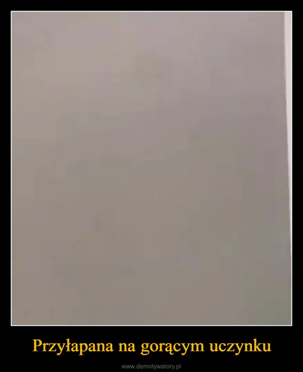 
    Przyłapana na gorącym uczynku