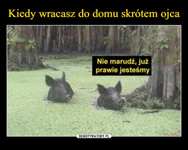 
    Kiedy wracasz do domu skrótem ojca