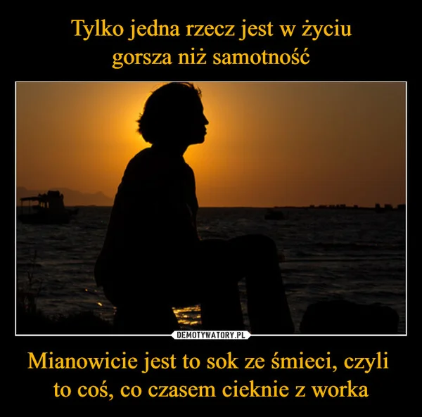 
    Tylko jedna rzecz jest w życiu gorsza niż samotność Mianowicie jest to sok ze śmieci, czyli to coś, co czasem cieknie z worka