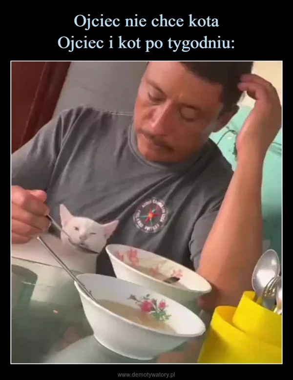 
    Ojciec nie chce kota Ojciec i kot po tygodniu: