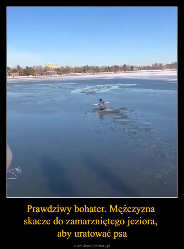 
    Prawdziwy bohater. Mężczyzna skacze do zamarzniętego jeziora, aby uratować psa