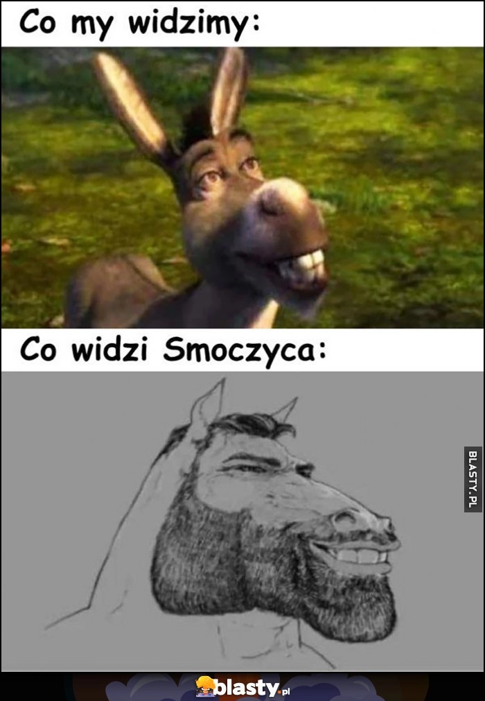 
    Co my widzimy: osiołek ze Shreka vs co widzi smoczyca: szczęka Chada