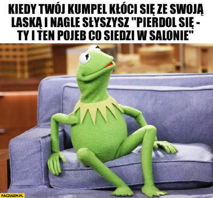 
    Kiedy Twój kumpel kłóci się ze swoją laską i nagle słyszysz piedziel się Ty i ten debil co siedzi w salonie Kermit