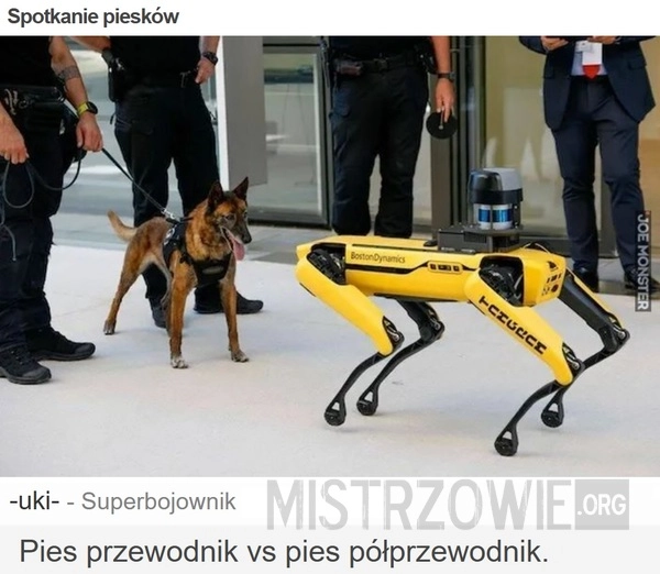 
    Spotkanie piesków