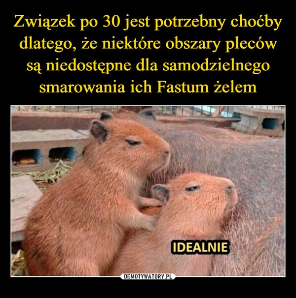 
    Związek po 30 jest potrzebny choćby dlatego, że niektóre obszary pleców są niedostępne dla samodzielnego smarowania ich Fastum żelem