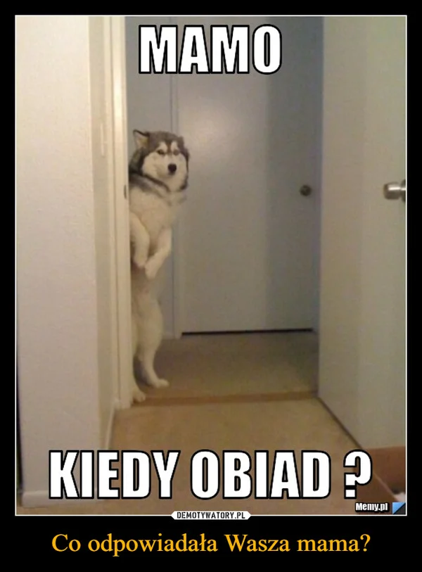 
    Co odpowiadała Wasza mama?