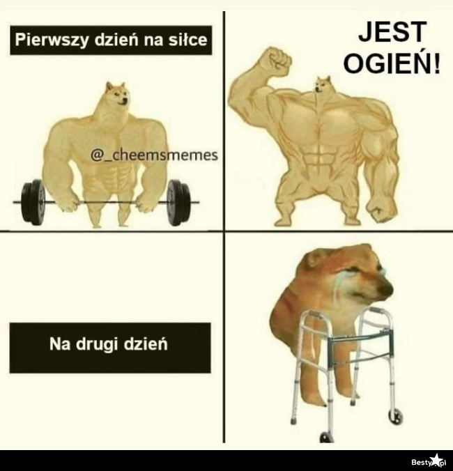 
    Dzień po ćwiczeniach 