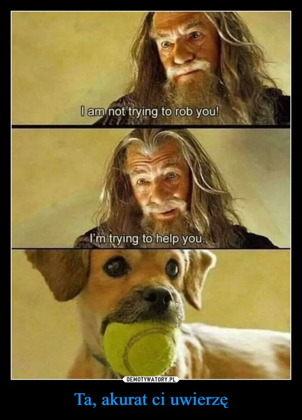 
    Ta, akurat ci uwierzę