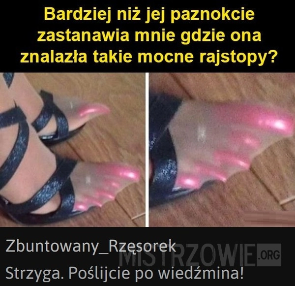 
    Paznokcie