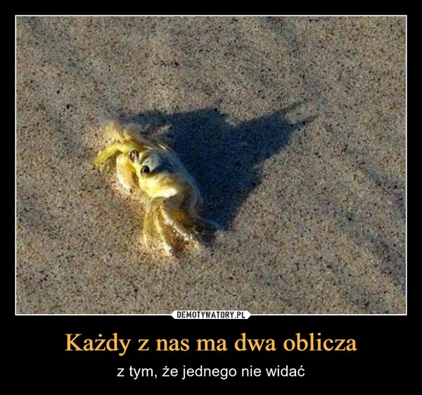 
    Każdy z nas ma dwa oblicza