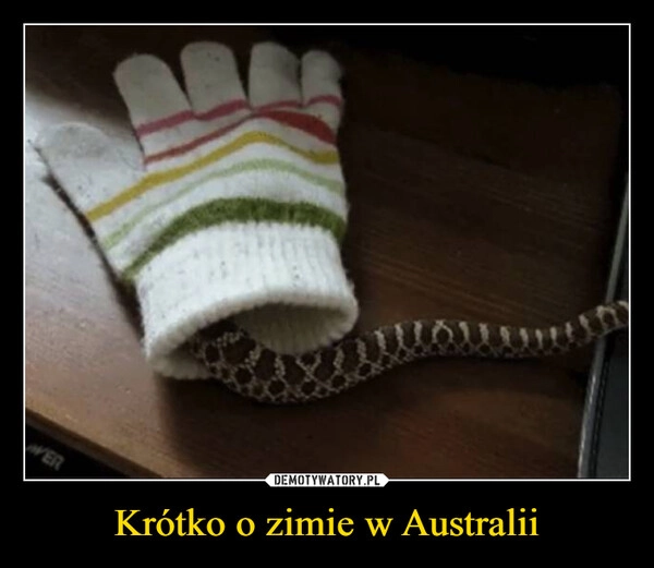 
    Krótko o zimie w Australii