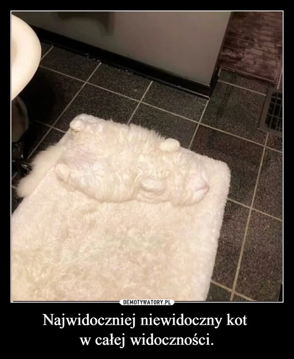 
    Najwidoczniej niewidoczny kot w całej widoczności.