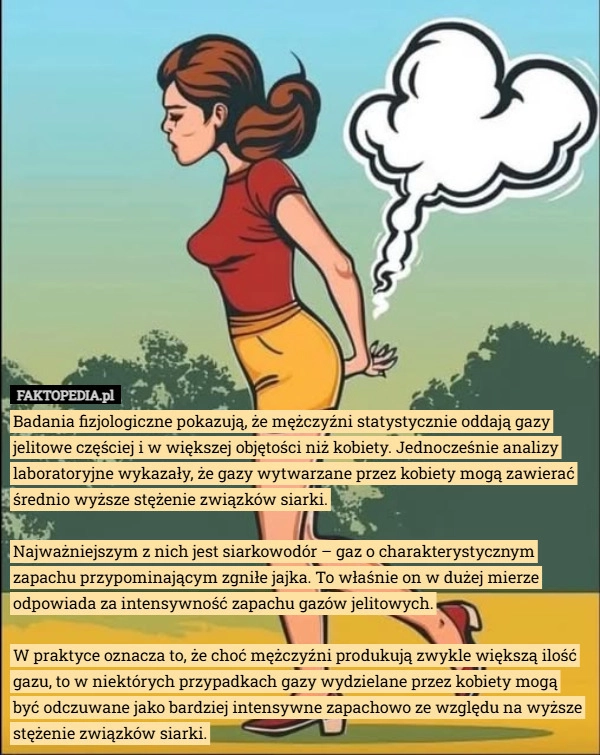 
    Badania fizjologiczne pokazują, że mężczyźni statystycznie oddają gazy jelitowe