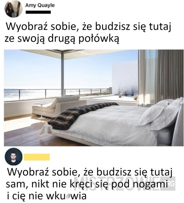 
    Druga połówka