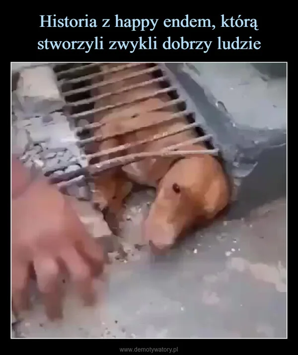 
    Historia z happy endem, którą stworzyli zwykli dobrzy ludzie