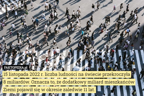 
    
			15 listopada 2022 r. liczba ludności na świecie przekroczyła...					