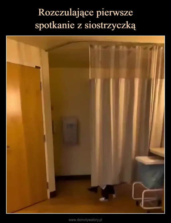 
    Rozczulające pierwsze spotkanie z siostrzyczką